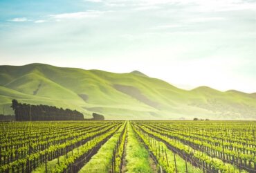 Why Grow Seeds For Climate Resiliency